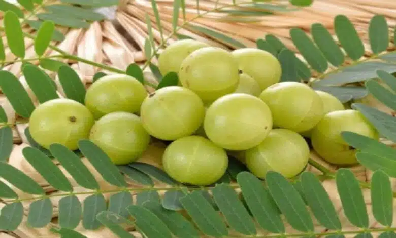 4 side effects of eating too much Amla