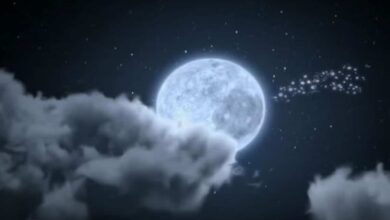 Bhadrapada Amavasya 2023: Date, time, rituals and significance