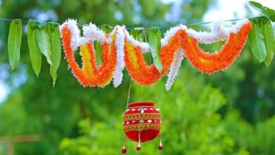 Dahi Handi 2023: Date, Time, Celebration and Significance