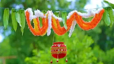 Dahi Handi 2023: Date, Time, Celebration and Significance
