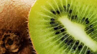 Easy Ways to Keep Kiwi Fresh
