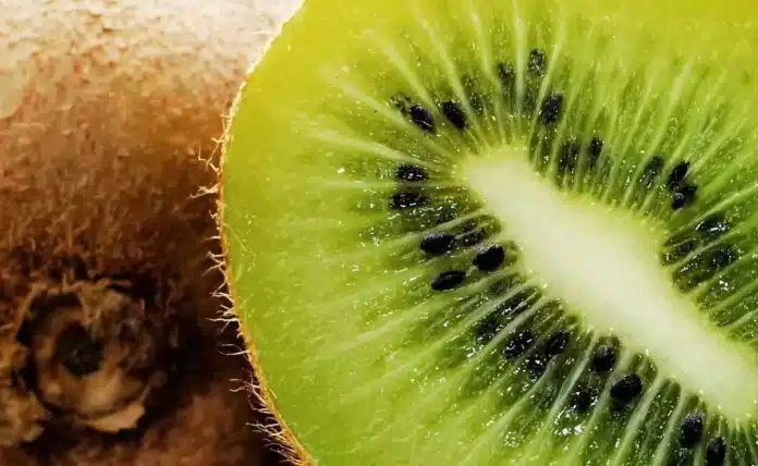 Easy Ways to Keep Kiwi Fresh