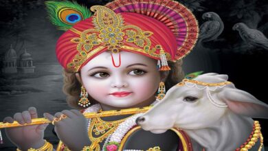 Janmashtami 2023: What to do and what not to do during Janmashtami fast?