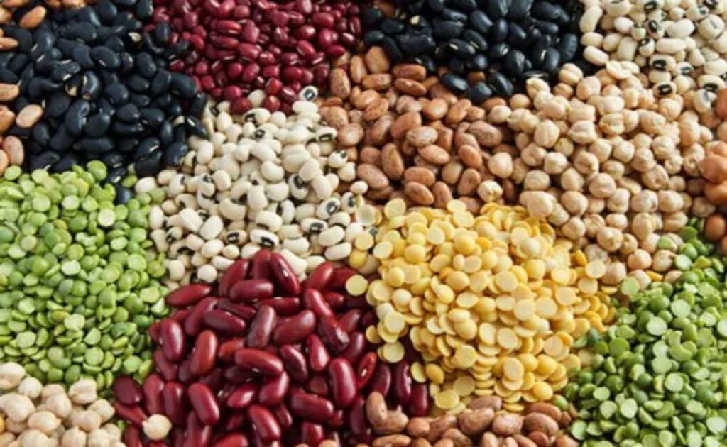 Pulses Benefits: 8 benefits of including pulses in your daily diet