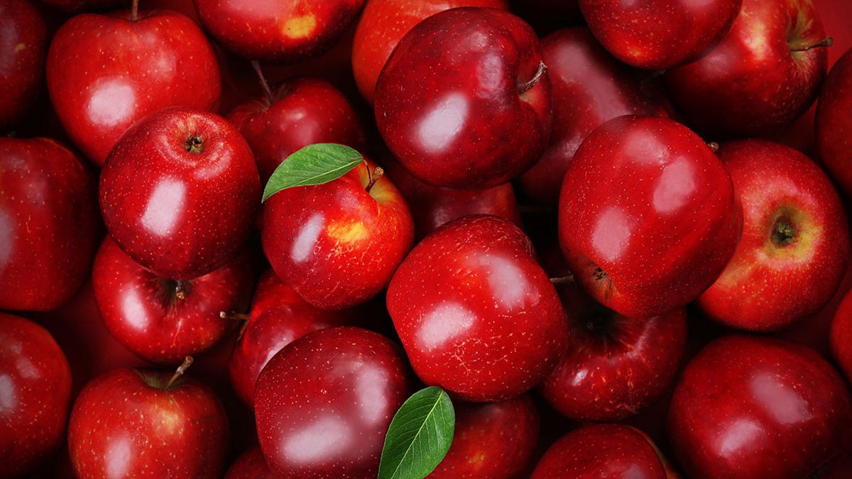 Apple 1 Keep Your Stomach Happy with Fiber-Rich Foods