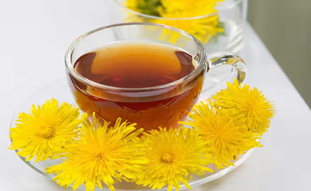 Digestion: Try these 10 beverages before sleeping to get relief from constipation