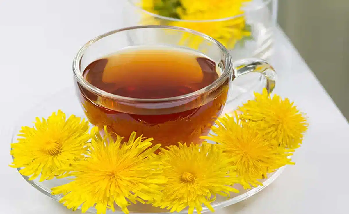 Digestion: Try these 10 beverages before sleeping to get relief from constipation