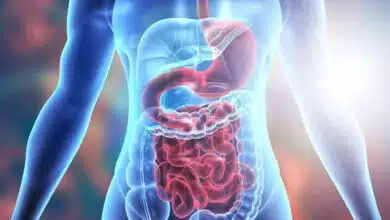 Boost Your Digestive Health With These 6 Nutrient-Rich Foods