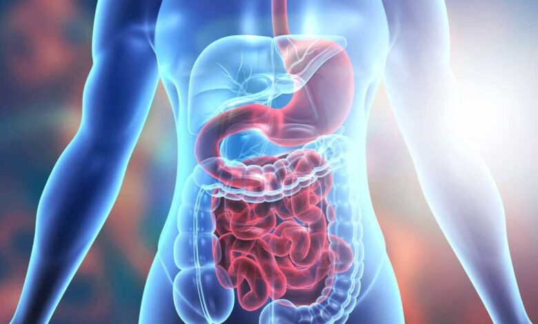 Boost Your Digestive Health With These 6 Nutrient-Rich Foods