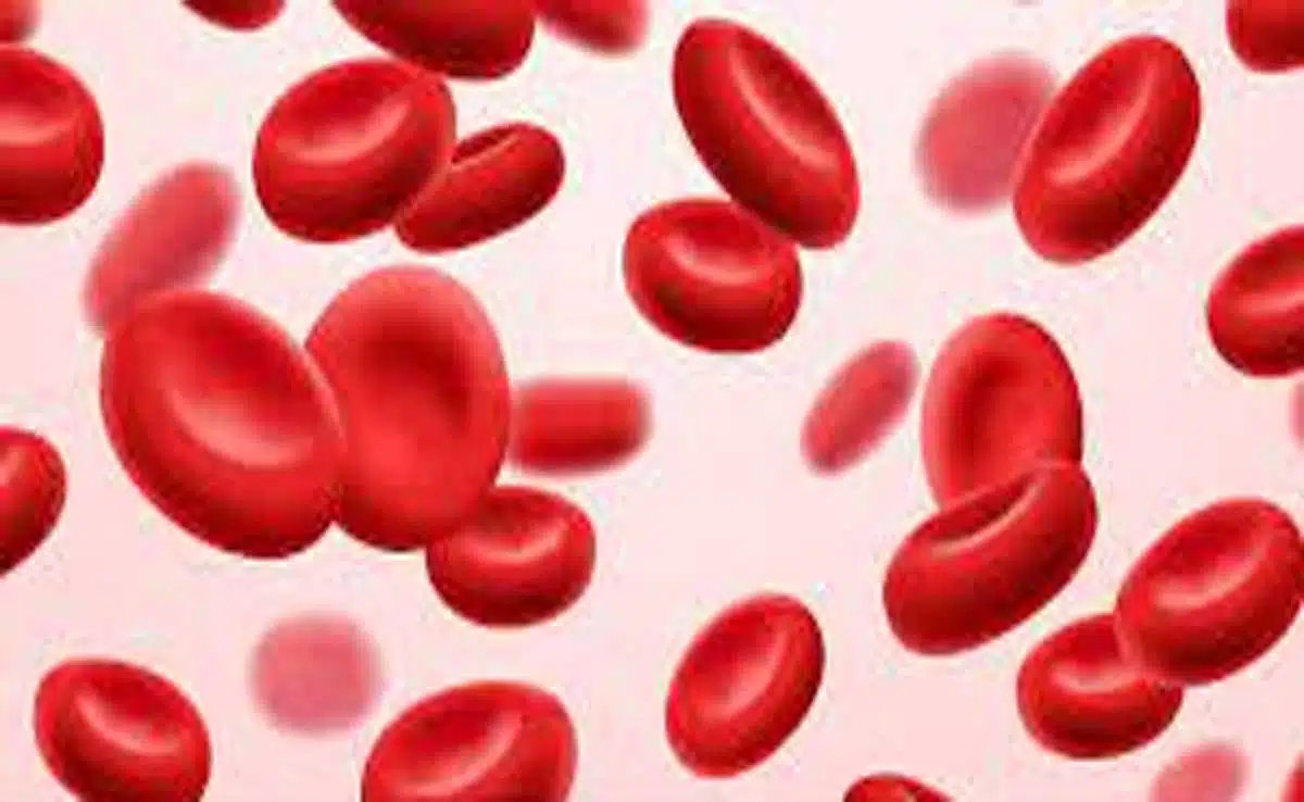 Haemoglobin 3 Include these 9 foods in your diet to increase hemoglobin