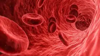 Include these 9 foods in your diet to increase hemoglobin