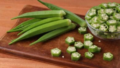 10 Amazing Health Benefits of Eating Okra