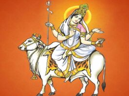 Shardiya Navratri 2023: Nine colors related to Maa Durga and their significance