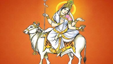 Shardiya Navratri 2023: Nine colors related to Maa Durga and their significance
