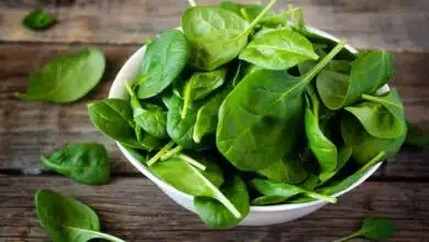 Store Spinach in these 5 ways, it will remain fresh for a week