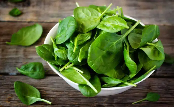 Store Spinach in these 5 ways, it will remain fresh for a week