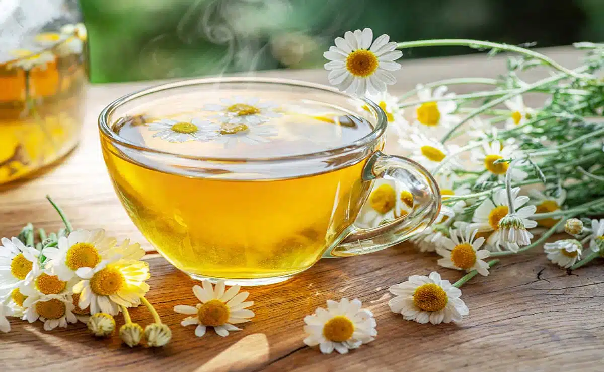 Digestion: Try these 10 beverages before sleeping to get relief from constipation