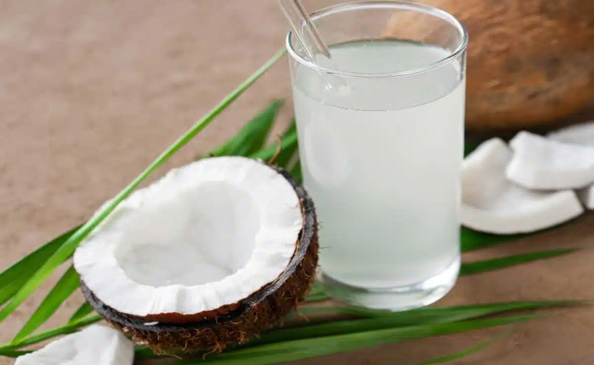 coconut water
Karva Chauth 2023: Include these 7 nutritious things in your sargi thali during the fast.
