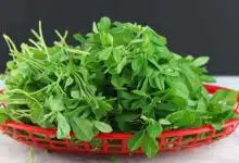 Simple solutions to remove bitterness of fenugreek leaves, learn here