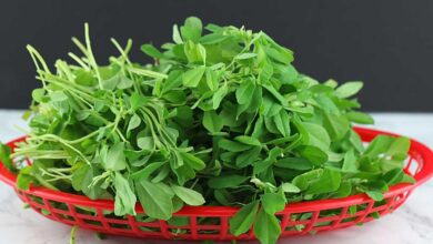 Simple solutions to remove bitterness of fenugreek leaves, learn here