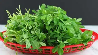Simple solutions to remove bitterness of fenugreek leaves, learn here