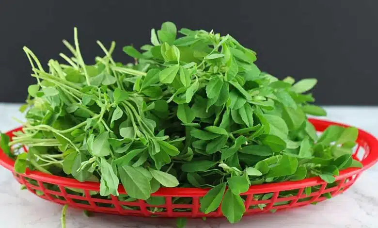 Simple solutions to remove bitterness of fenugreek leaves, learn here