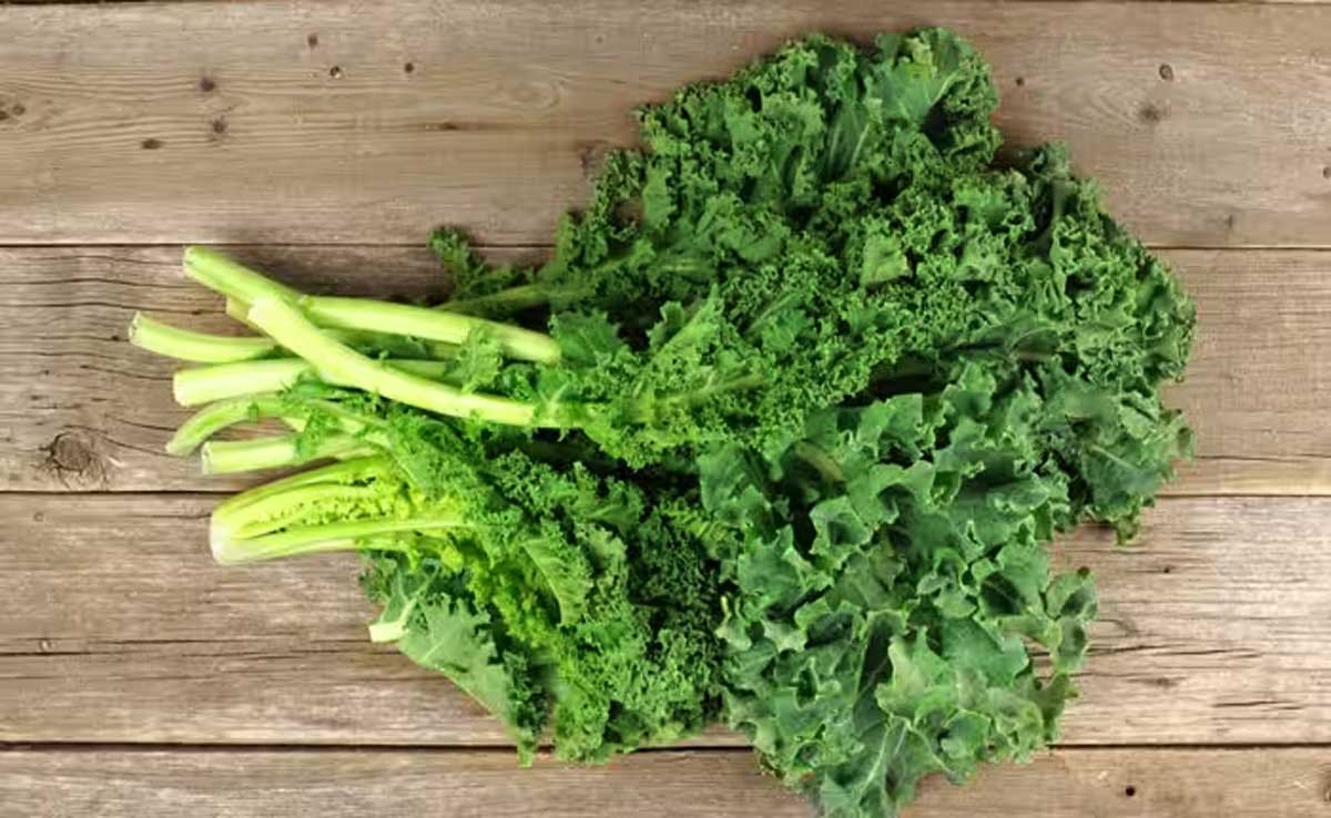 Diabetic patients must eat these 5 vegetables, sugar level will remain under control