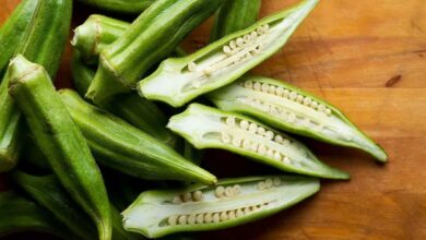 Okra is a boon for diabetes patients, include it in the diet in these ways.