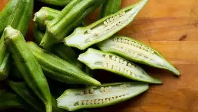 Okra is a boon for diabetes patients, include it in the diet in these ways.