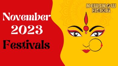 Festivals in November 2023: Monthly fast and festival list