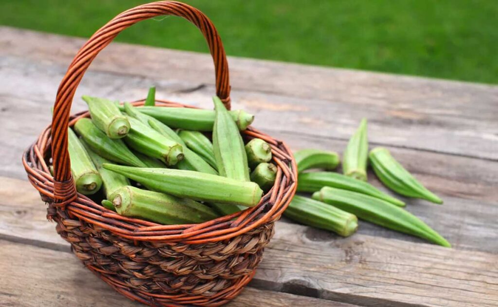 10 Amazing Health Benefits of Eating Okra