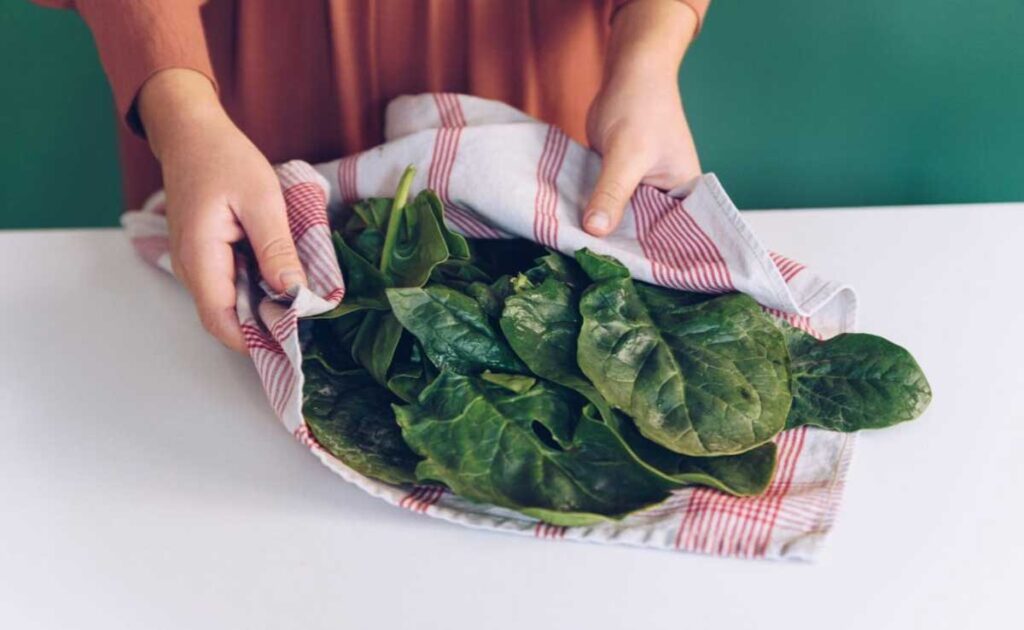 Store Spinach in these 5 ways, it will remain fresh for a week