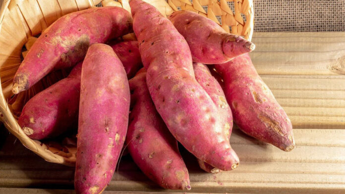 10 health benefits of sweet potato
