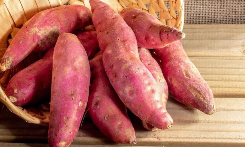 10 health benefits of sweet potato