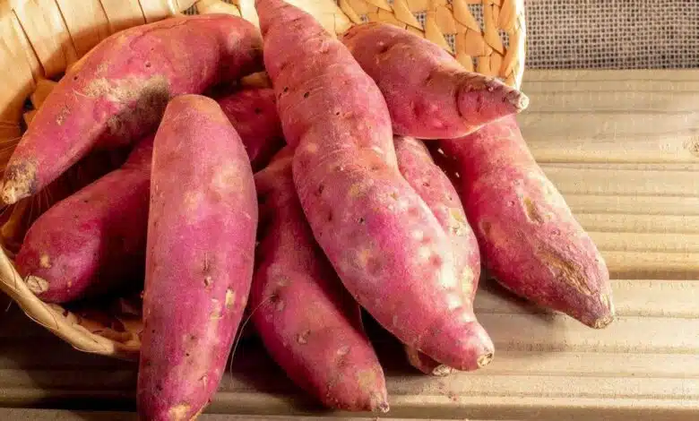 10 health benefits of sweet potato