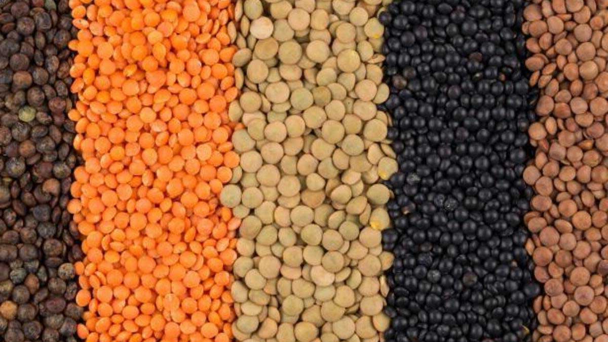 Health Benefits of Lentils
