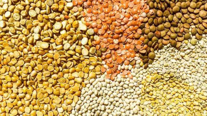 Health Benefits of Lentils