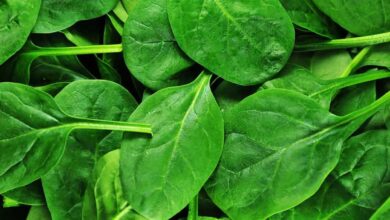 What are the health benefits of Spinach?