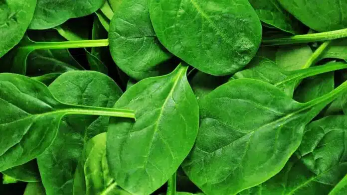 What are the health benefits of Spinach?
