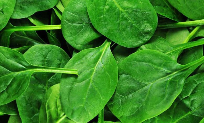 What are the health benefits of Spinach?