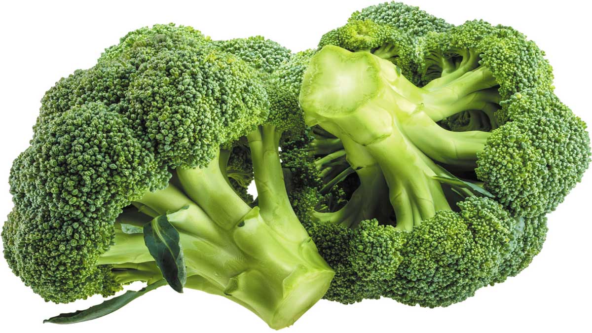 Foods to eat when recovering from dengue