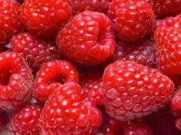 7 Health Benefits of Raspberries
