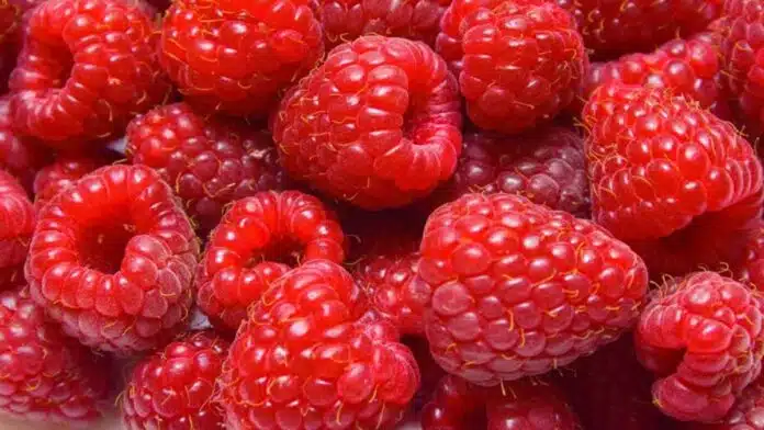 7 Health Benefits of Raspberries