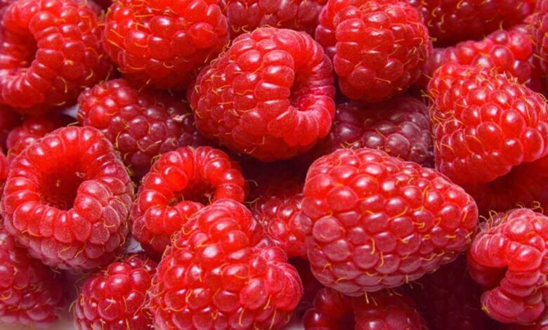 7 Health Benefits of Raspberries