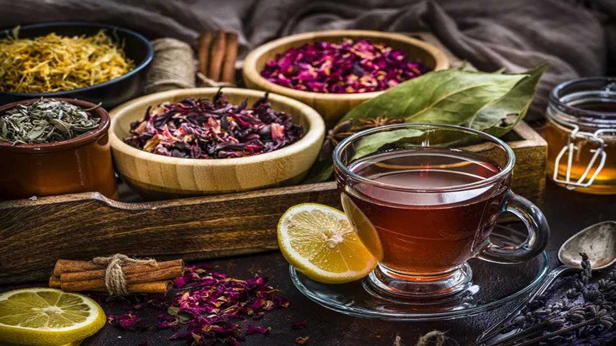 Foods to eat when recovering from dengue