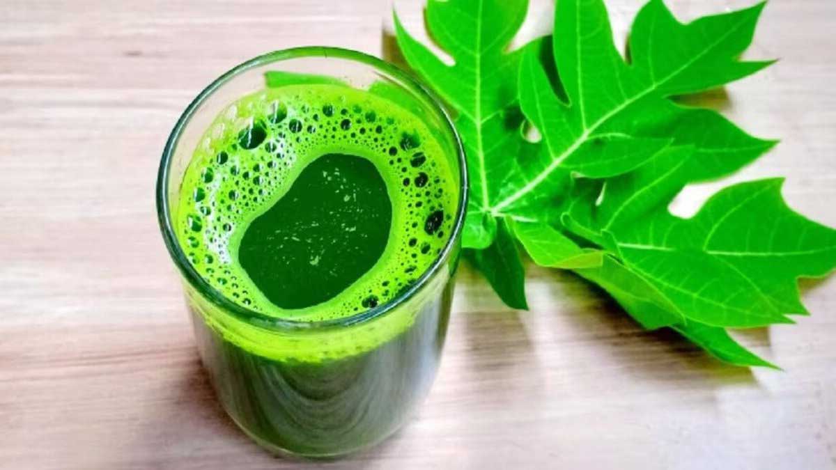 Foods to eat when recovering from dengue
