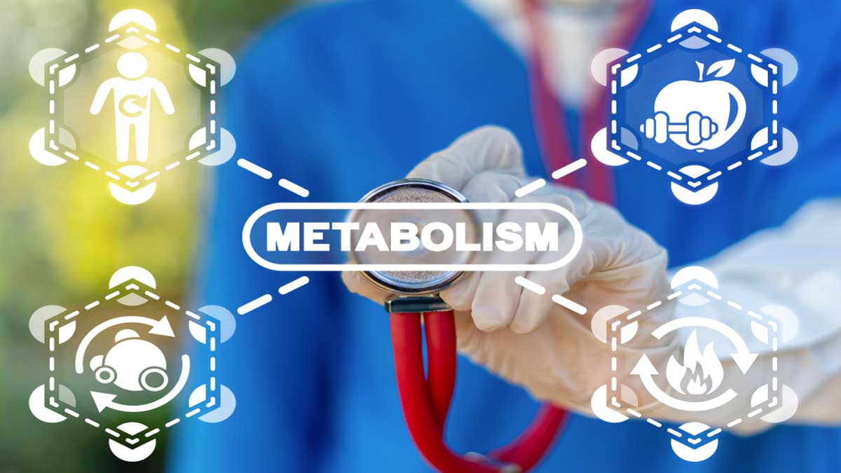 Importance of diet to lose weight 3