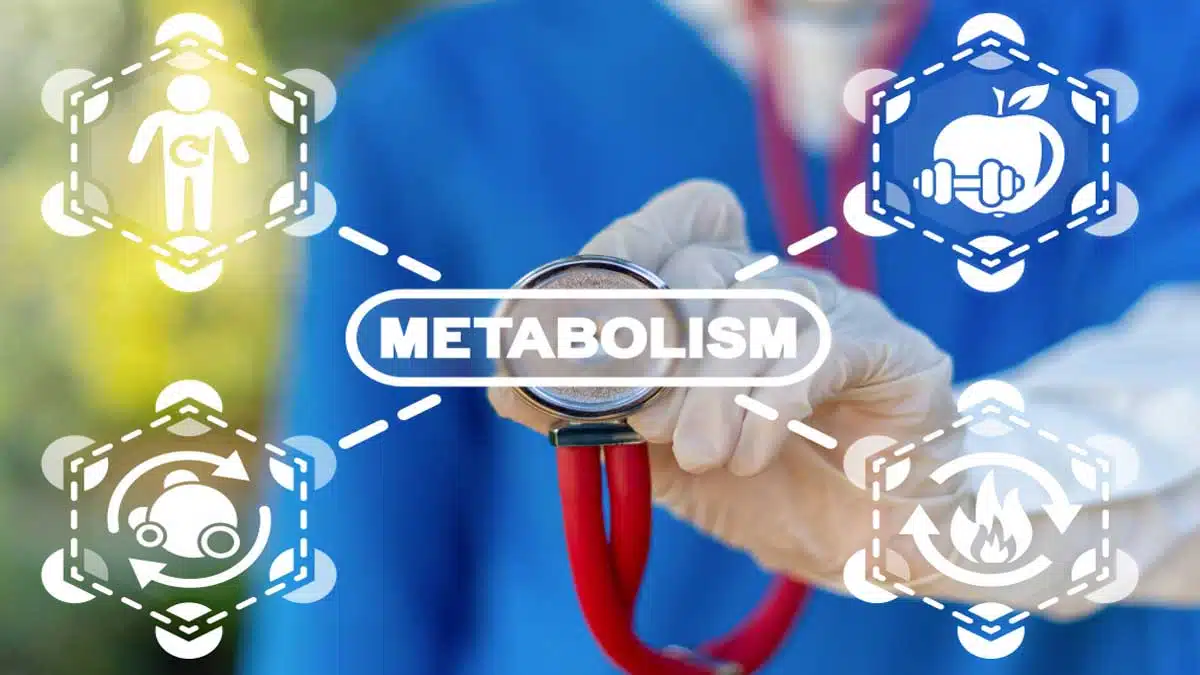 Importance of diet to lose weight 3