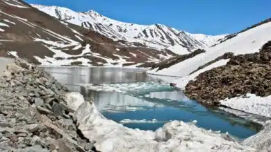 650 roads 5 highways closed due to snowfall in Himachal