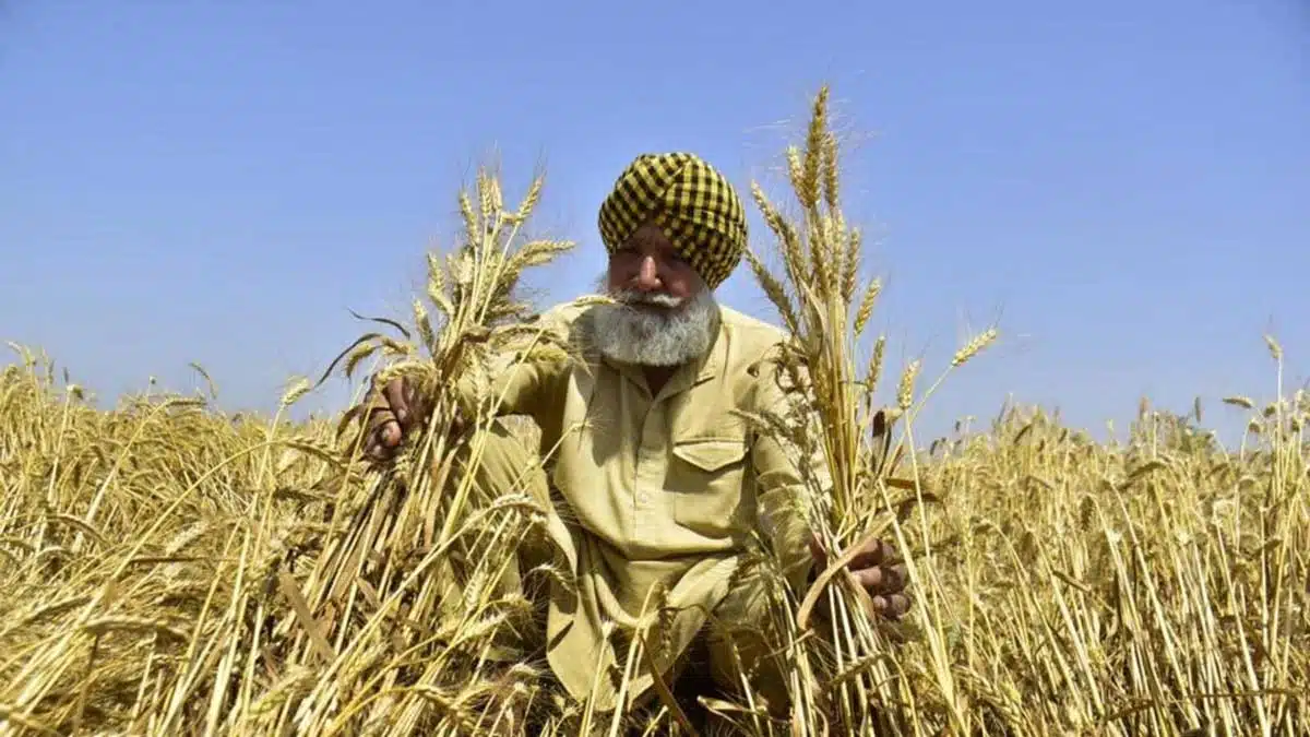 Baisakhi one festival, many stories